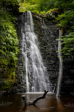 To buy a print or any of the below please click on the images